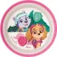 Paw Patrol Superpowers rutschfester Mikro-Tiefer Teller