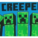 Minecraft kurzer Kinderpyjama 12 Jahre