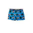 Minecraft Kinder Boxershorts 2 Stück/Packung 9 Jahre