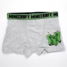 Minecraft Kinder-Boxershorts 2er-Pack 9 Jahre