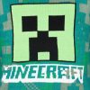 Minecraft Green Kinder Strickpullover 10 Jahre