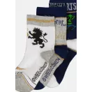 Harry Potter Kinder Socken 23/26