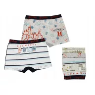 Harry Potter Kinder-Boxershorts 2 Stück/Paket 10/12 Jahre