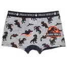Jurassic World Kinder Boxershorts 2 Stück/Packung 2/3 Jahre