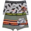 Jurassic World Kinder Boxershorts 2 Stück/Packung 4/5 Jahre