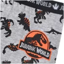 Jurassic World Kinder Boxershorts 2 Stück/Packung 4/5 Jahre