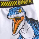 Jurassic World Kinderboxershorts 2 Stück/Paket 2/3 Jahre