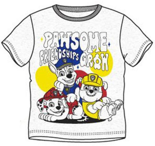 Paw Patrol Friendship Kinder Kurzarmhemd, Oberteil 5 Jahre