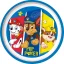 Paw Patrol Pup Power rutschfester Micro-Flachteller