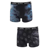 Harry Potter Herren Boxershorts 2 Stück/Packung L