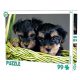 Tiere Hund Puzzle 99 Teile