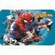 Spiderman Telleruntersatz 43*28 cm