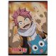 Fairy Tail Happy Fleecedecke 100x140cm