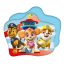 Paw Patrol Trio  Deko-Kissen 35x27 cm