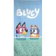 Bluey Diving Badetuch, Strandtuch 70x140cm (Fast Dry)
