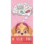 Paw Patrol Badetuch, Strandtuch 70x140cm (Schnelltrocknend)
