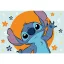 Disney Lilo und Stitch Tropical Vibes Badezimmermatte 40x60 cm