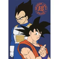 Dragon Ball Fleecedecke 100x140cm