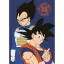 Dragon Ball Fleecedecke 100x140cm