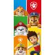 Paw Patrol Colors Badehandtuch, Strandtuch 70x140cm