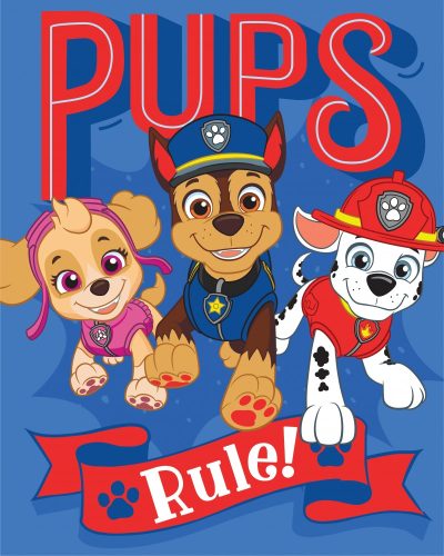 Paw Patrol Polardecke 130*170 cm