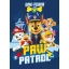 Paw Patrol Polar Decke 100*140cm