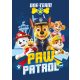 Paw Patrol Polar Decke 100*140cm