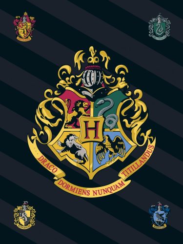 Harry Potter Polarfleecedecke 100*140cm