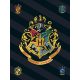 Harry Potter Polarfleecedecke 100*140cm