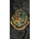 Harry Potter Badehandtuch, Strandtuch 70*140cm