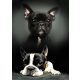 Hund Polardecke 100x140cm