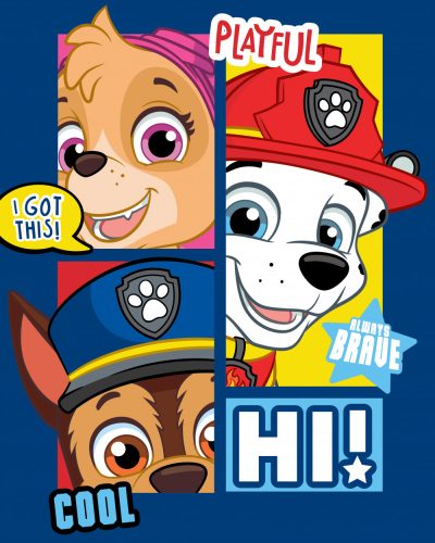 Paw Patrol Polar-Decke 100x140cm