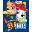 Paw Patrol Polardecke 100x140cm