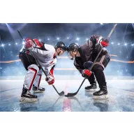 Hockey Polardecke 100*140cm