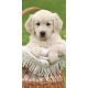 Hund Badehandtuch, Strandtuch 70*140cm