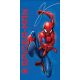 Spiderman Cobweb Badetuch, Strandtuch 70x140 cm