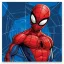 Spiderman Web Handtuch, Gesichtstuch, Handtuch 30x30cm