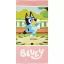 Bluey Nature Badehandtuch, Strandtuch 70x140cm
