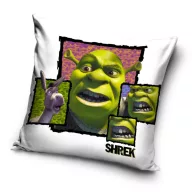 Shrek Kissenbezug 40x40 cm Samt