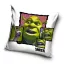 Shrek Kissenbezug 40x40 cm Samt