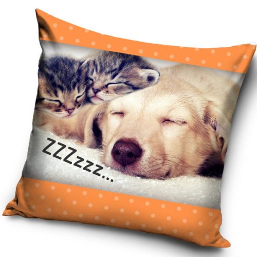 Katze ZZZ  Hund Kissenbezug 40x40 cm