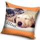 Katze ZZZ  Hund Kissenbezug 40x40 cm
