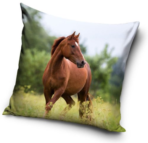 Pferd Freedom Kissenbezug 40x40 cm Velours