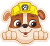 Paw Patrol Rubble Dekokissen 40x37 cm Velours