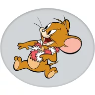 Tom und Jerry Formkissen, dekoratives Kissen 35 cm