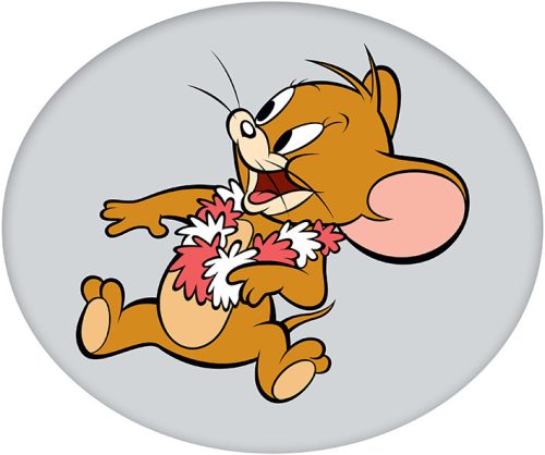 Tom und Jerry Formkissen, Zierkissen 35 cm