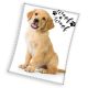 Hund Golden Retriever Fleecedecke 150x200cm