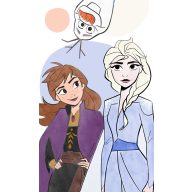   Disney Eiskönigin Family  Handtuch, Gesichtstuch, 30x50cm Handtuch