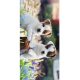 Hund Springtime Badetuch, Strandtuch 70x140cm