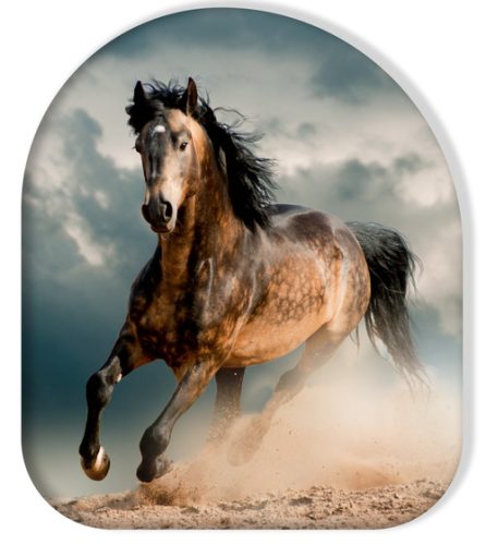 Pferd Wild Stallion Dekokissen 37x33 cm